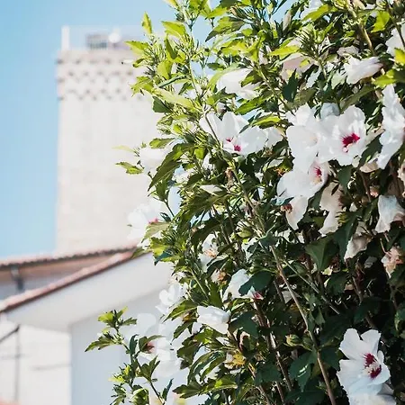 拉罗拉旅馆 Albaretto della Torre