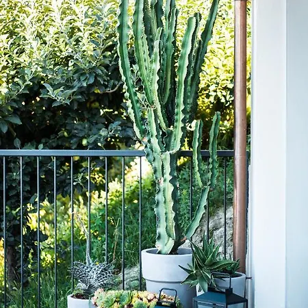 La Rola Guest house 3*