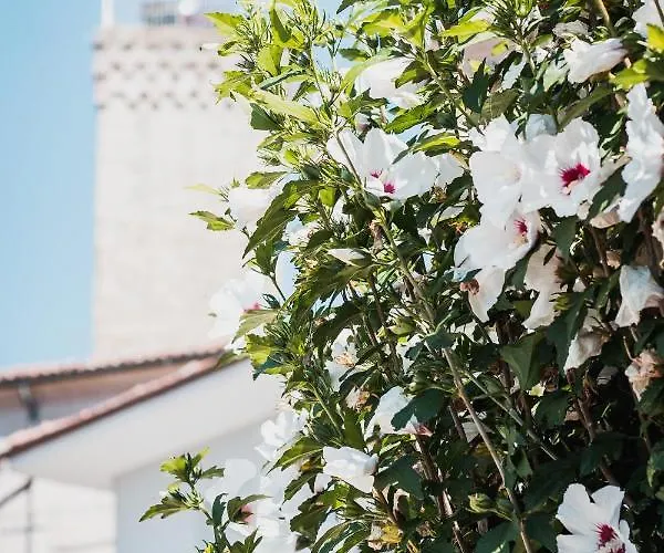 La Rola Albaretto della Torre